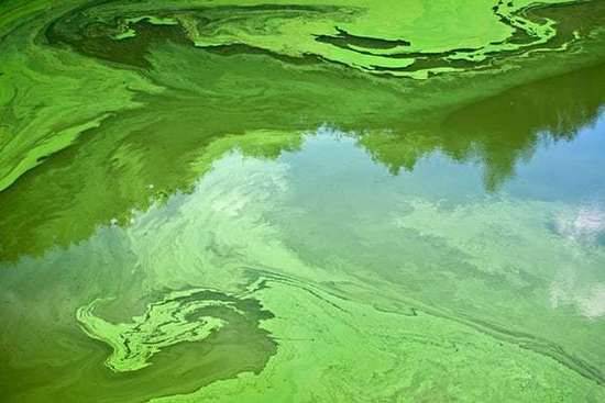 什么是一次污染物？什么是二次污染物？