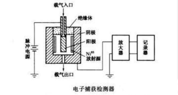 电子捕获检测器
