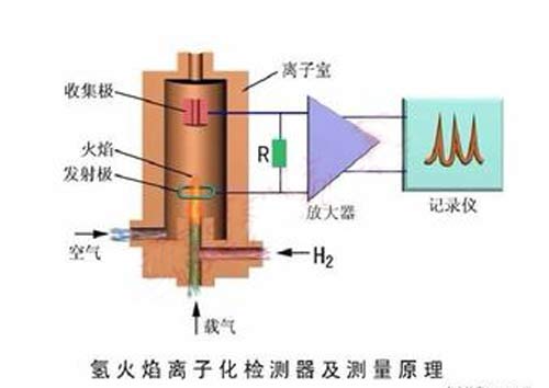 氢火焰离子化检测器的工作原理是什么？